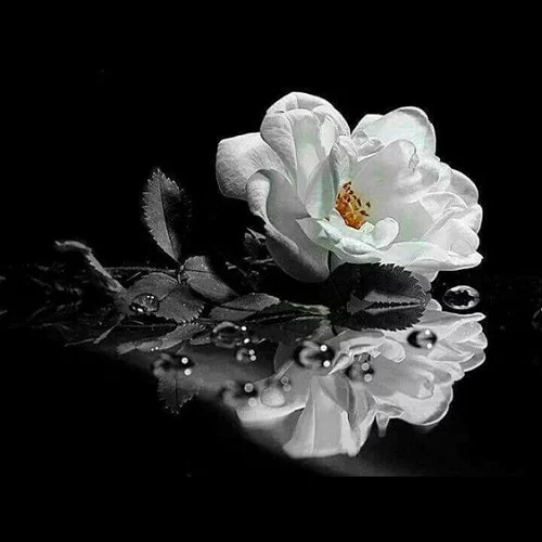 عکس نوشته دخترونه دلتنگی و تنهایی عاشقانه - عکس پروفایل عکس نوشته دخترونه دلتنگی و تنهایی عاشقانه - عکس پروفایل