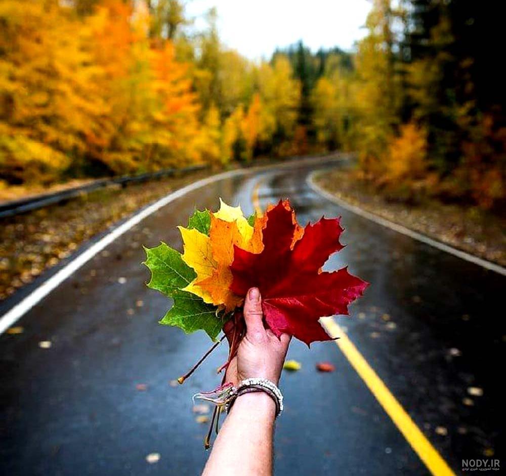 عکس پاییز برای پروفایل واتساپ | کلکسیونی از جدیدترین عکس ها - پارس مگ