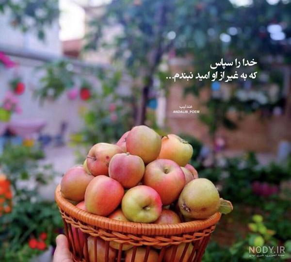 عکس پروفایل خدا - دلی ها عکس پروفایل خدا - دلی ها