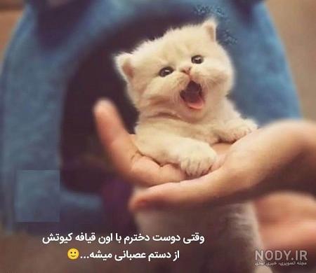 عکس پروفایل خنده دار دخترونه