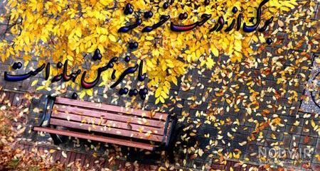 عکس پروفایل منظره ی پاییزی - عکس نودی