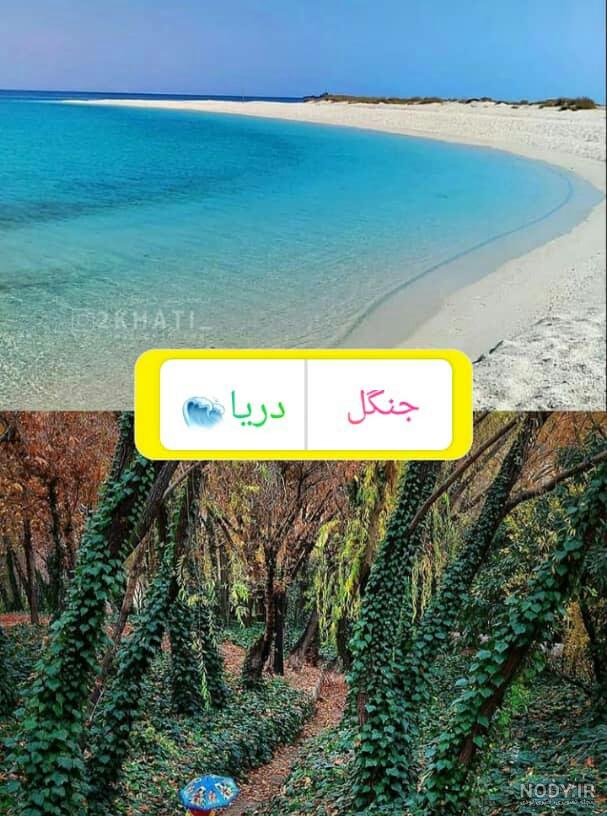 قاب مدیا | عکس دسکتاپ با کیفیت طبیعت جنگل , ساحل , دریا , اقیانوس و دریا , منظره , طبیعت قاب مدیا | عکس دسکتاپ با کیفیت طبیعت جنگل , ساحل , دریا , اقیانوس و دریا , منظره , طبیعت