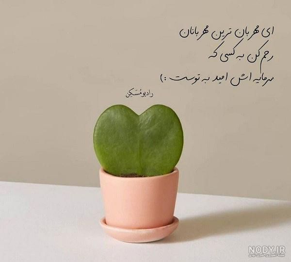 پروفایل خدا بزرگه 2024؛ همراه با متن های دلنشین و جدید به هنگام دلشکستگی - گـُـ✿ـلـی مُــــב پروفایل خدا بزرگه 2024؛ همراه با متن های دلنشین و جدید به هنگام دلشکستگی - گـُـ✿ـلـی مُــــב