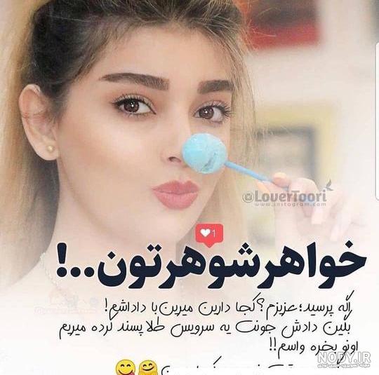 گربه های خنده دار - تصویر خود چسب سلفی در دستش زن و شوهر گربه در حال گرفتن  عکس سلفی به همراه دوربین گوشی هوشمند 1208661