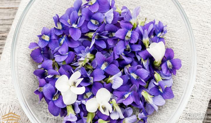 گل بنفشه | عطاری خوب گل بنفشه | عطاری خوب
