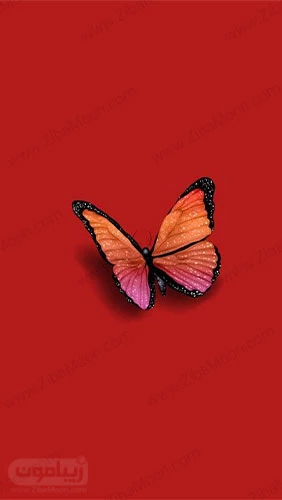 ۵۲ مدل تصویر زمینه گوشی دخترانه فانتزی
