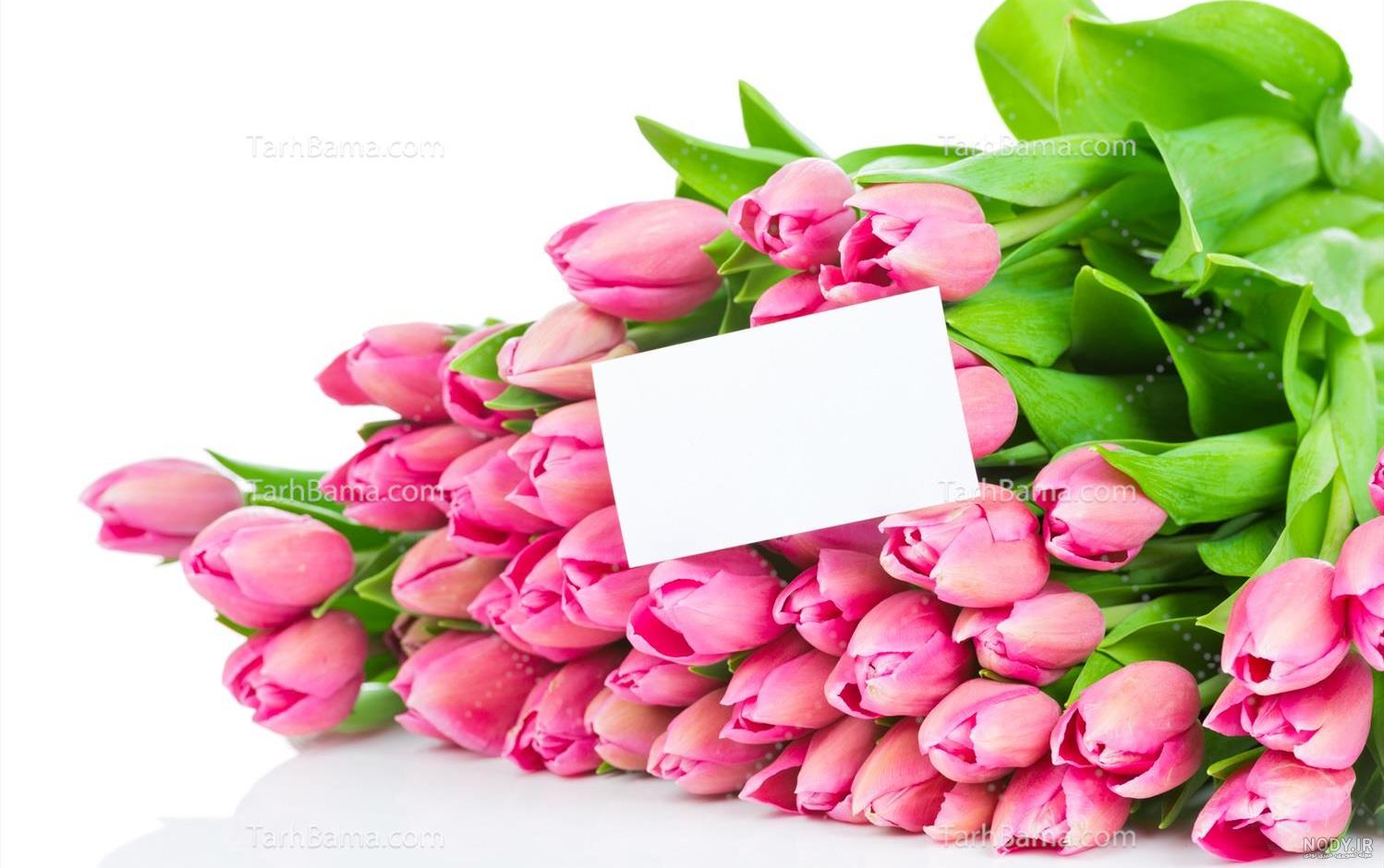 130 عکس گل🌺دانلود مجموعه عکس گل زیبا جدید با کیفیت بالا