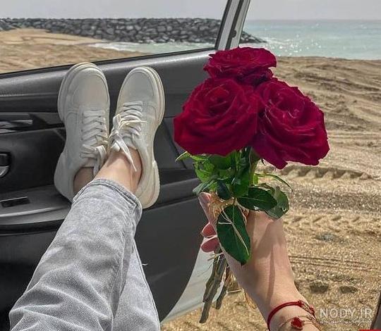 جدیدترین عکس گل رز قرمز عاشقانه و رمانتیک ۲۰۱۸ - عکس ویسگون