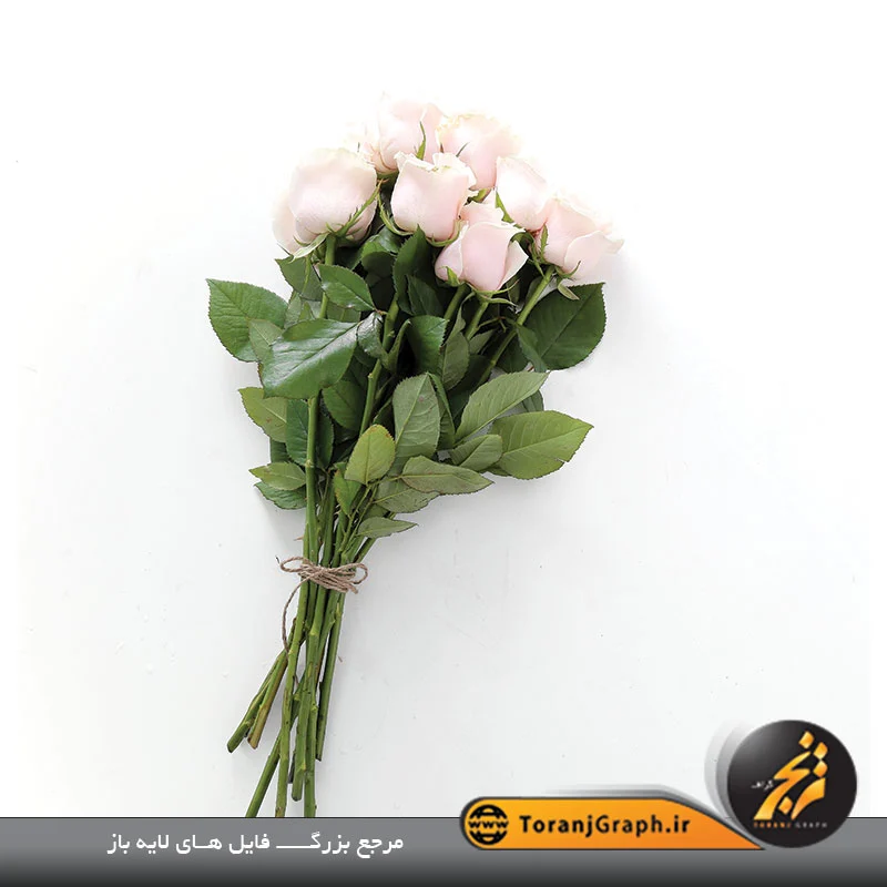 جدیدترین مدل های دسته گل عروس + عکس