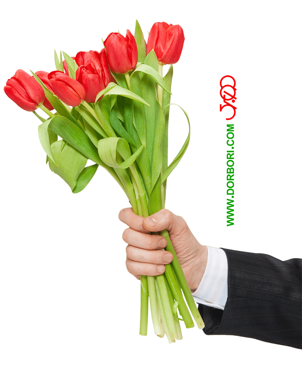 خرید آنلاین دسته گل لاله های رنگی | گلفروشی آنلاین انگور خرید آنلاین دسته گل لاله های رنگی | گلفروشی آنلاین انگور