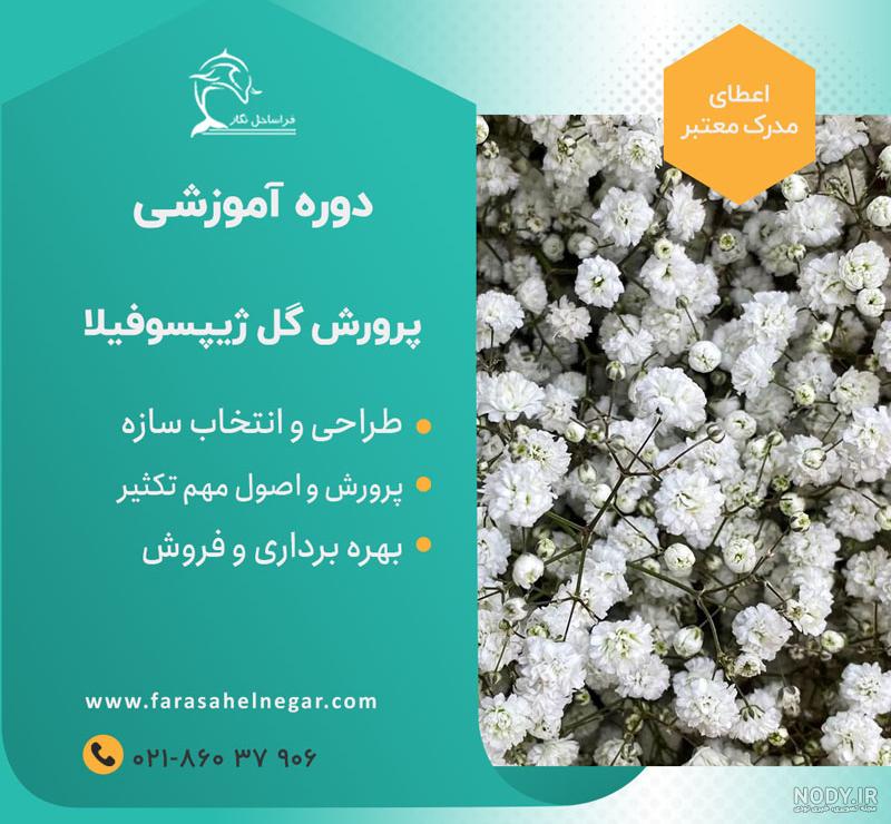 خرید آنلاین دسته گل ژیپسوفیلا و رز مینیاتوری سفید | گلفروشی آنلاین انگور خرید آنلاین دسته گل ژیپسوفیلا و رز مینیاتوری سفید | گلفروشی آنلاین انگور