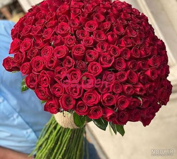 خرید دسته گل بزرگ رز هلندی کد 18469 |باختر خرید دسته گل بزرگ رز هلندی کد 18469 |باختر