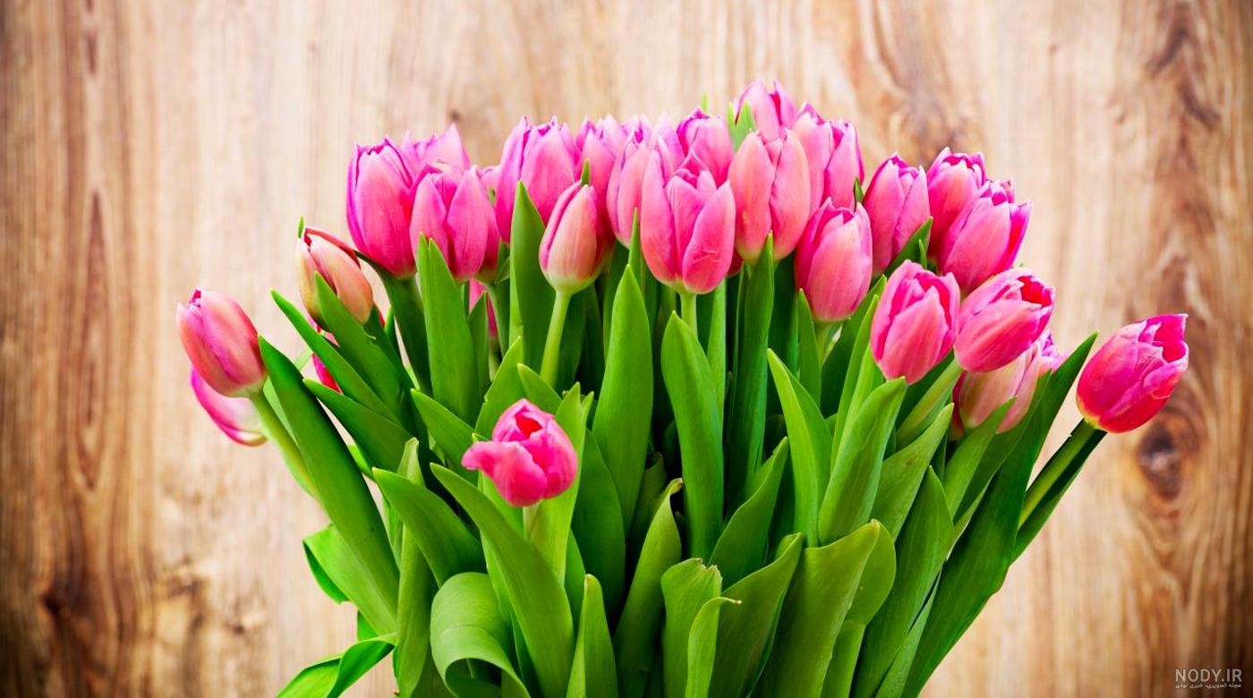 خرید و قیمت دسته گل لاله سفید 10 عددی | ترب خرید و قیمت دسته گل لاله سفید 10 عددی | ترب