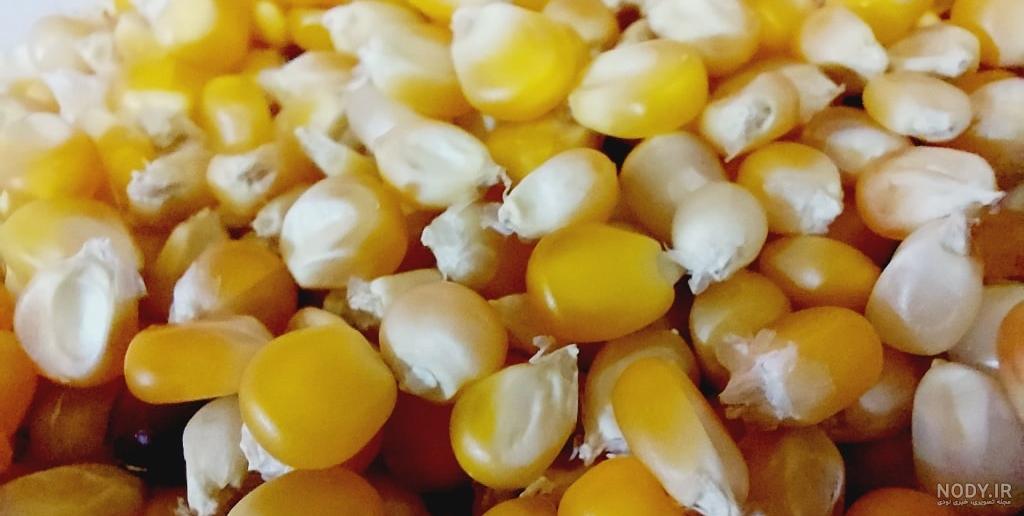 خرید و قیمت گیفت حرف ذ مثل ذرت فومی آموزش حروف الفبا فارسی کاردستی از غرفه  خوشحالی فروشی ماهورا