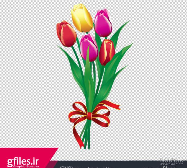 دانلود عکس با کیفیت از گل لاله قرمز 9211182 - پدیده شهر دانلود عکس با کیفیت از گل لاله قرمز 9211182 - پدیده شهر