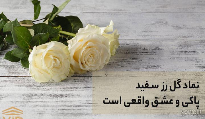 دانلود 40 عکس HD و 4K گل در دست برای پروفایل عاشقانه و خوشگل