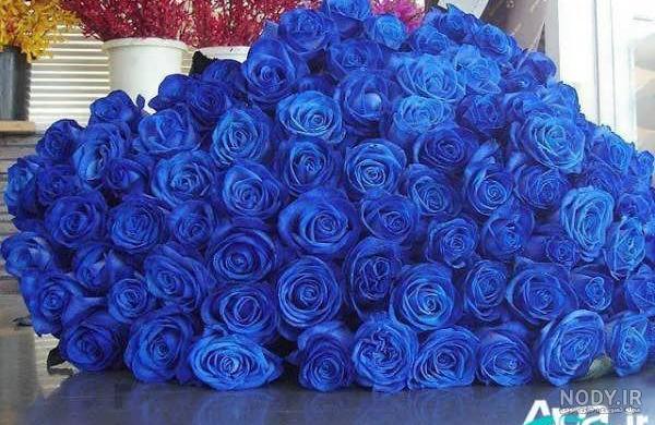دسته گل رز قرمز 30 شاخه بزرگ دسته گل رز قرمز 30 شاخه بزرگ