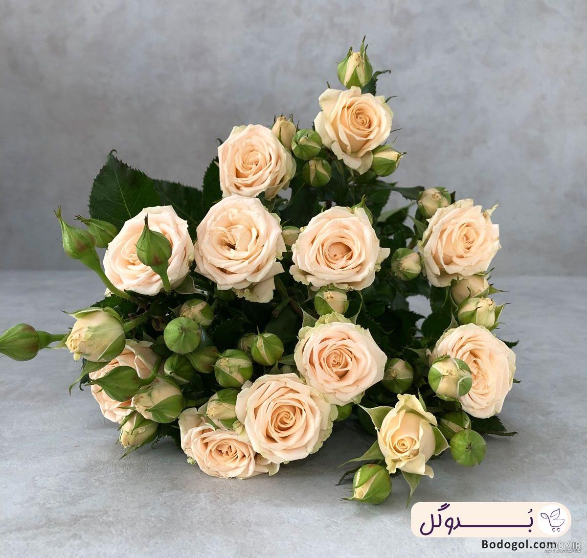 دسته گل رز | گلیزه دسته گل رز | گلیزه
