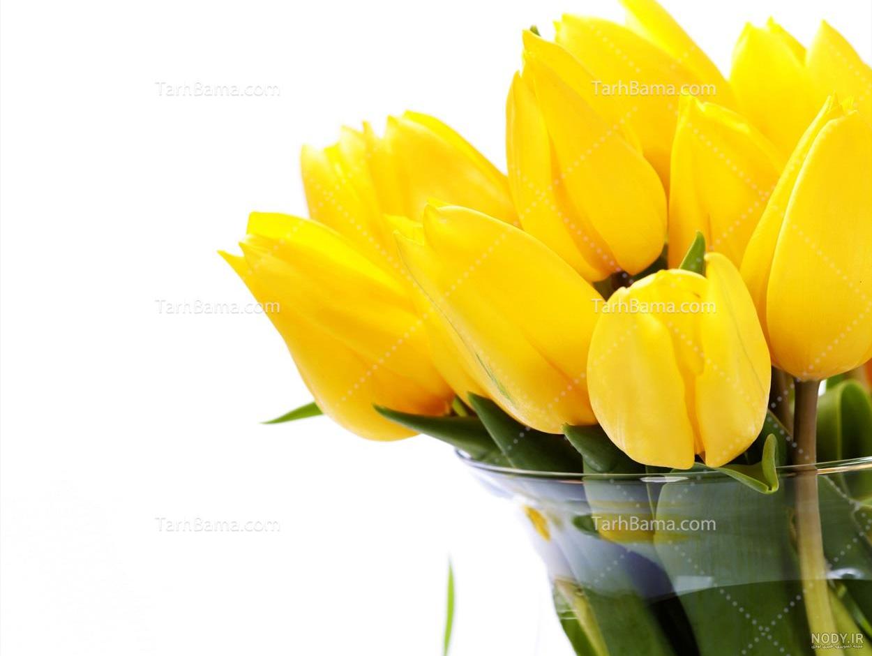 دسته گل لاله زرد زیبا yellow tulips bouquet دسته گل لاله زرد زیبا yellow tulips bouquet