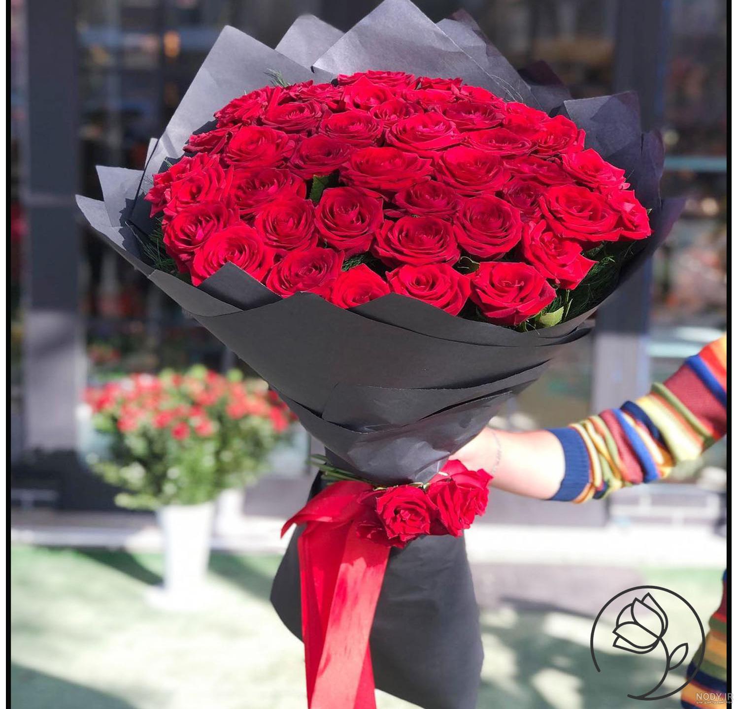 زیباترین عکس گل رز 2022 با تنوع رنگ و مدلهای مختلف زیباترین عکس گل رز 2022 با تنوع رنگ و مدلهای مختلف