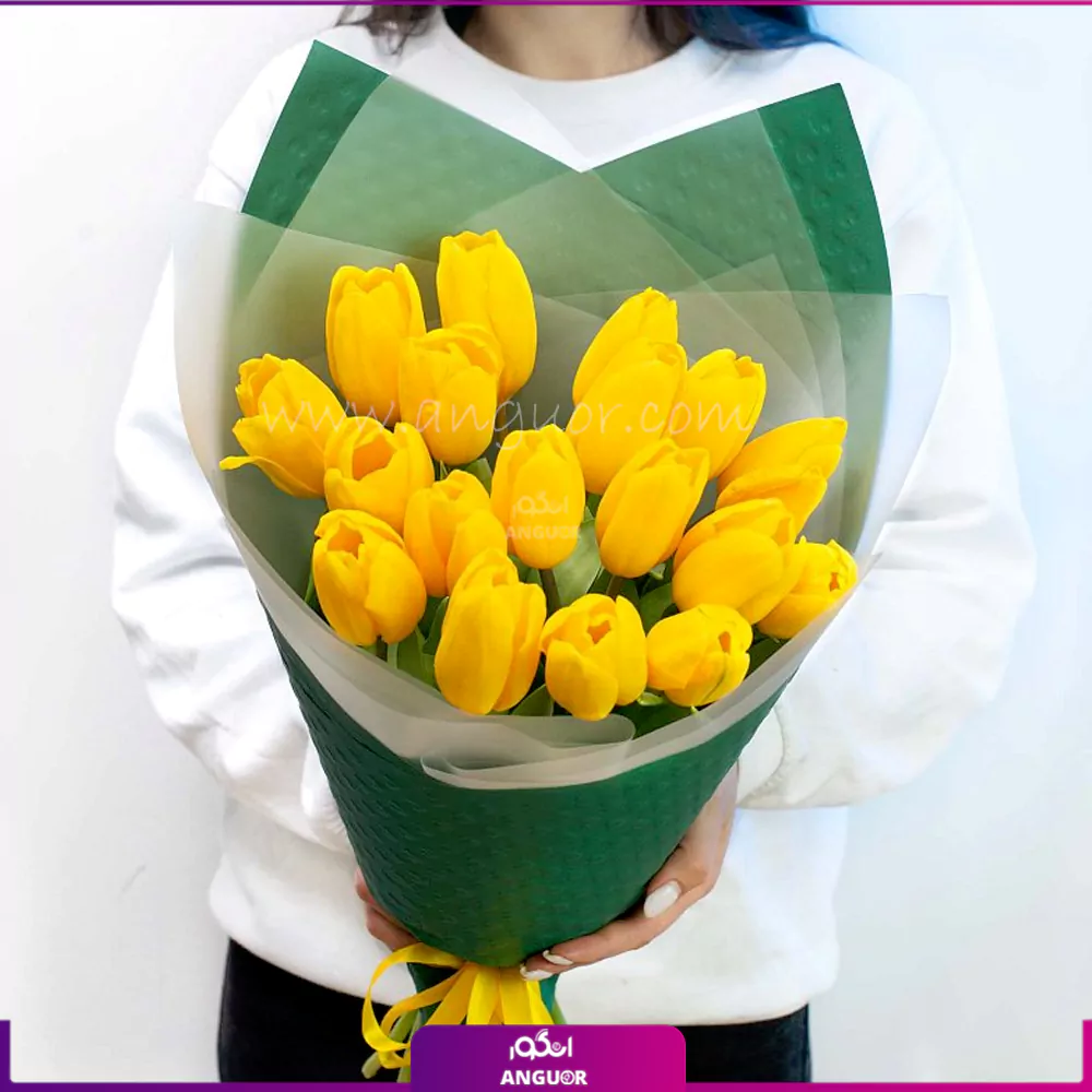 عکس با کیفیت از دسته گل لاله های رنگی عکس با کیفیت از دسته گل لاله های رنگی