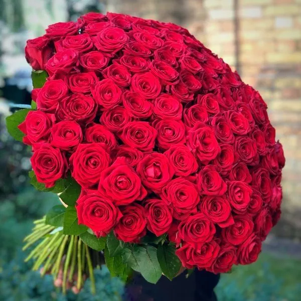 عکس دسته گل بزرگ رز قرمز