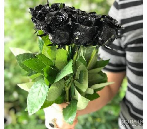 عکس دسته گل رز سیاه