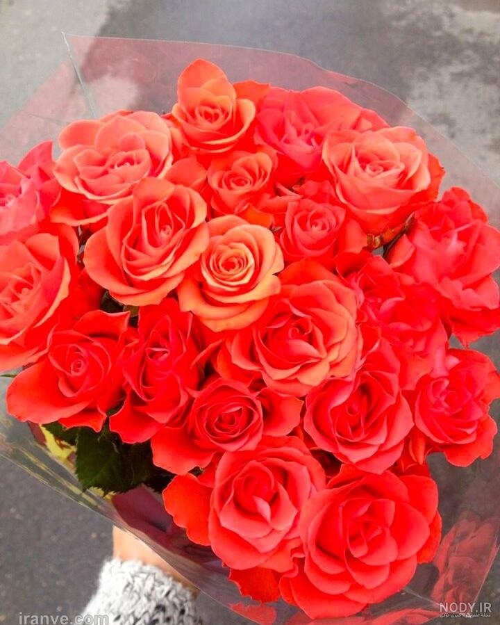 عکس دسته گل رز قرمز خیلی بزرگ