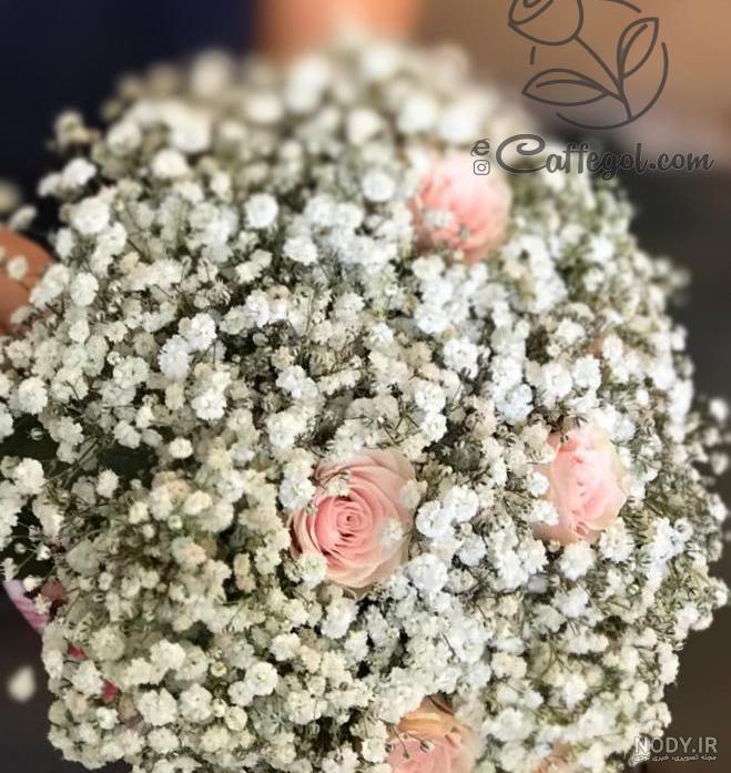 عکس دسته گل عروس ژیپسوفیلا عکس دسته گل عروس ژیپسوفیلا