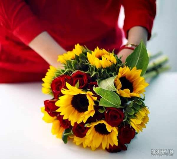 عکس های زیبا از گل های آفتابگردان رویایی در طبیعت