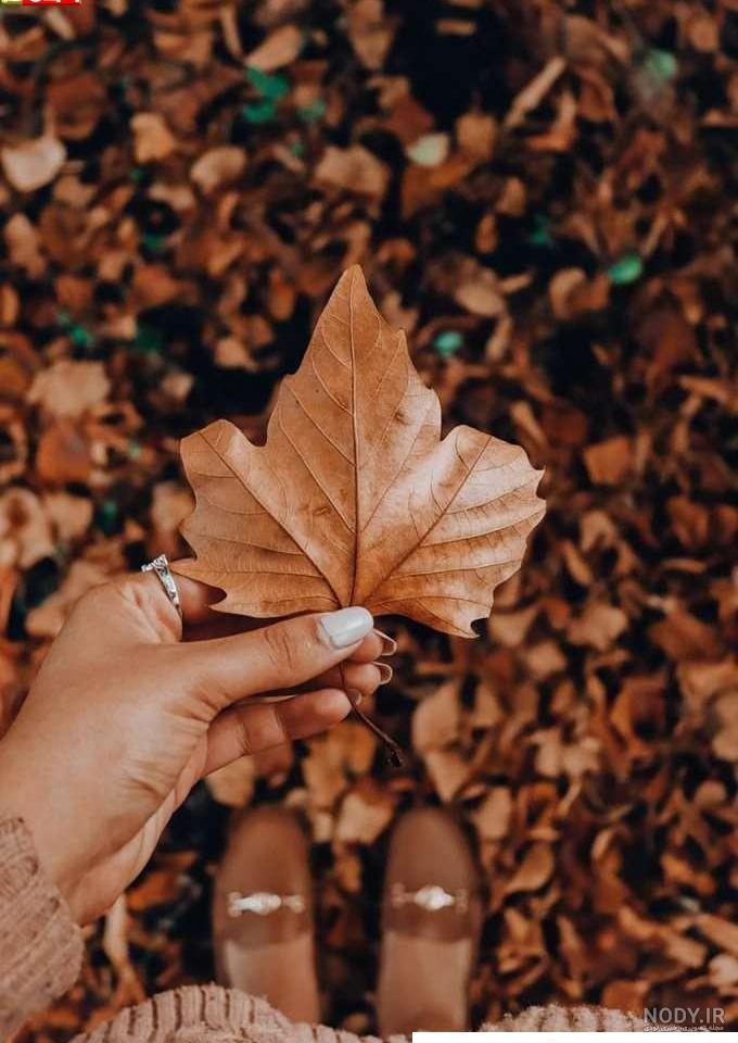 عکس پروفایل پاییزی دخترانه با ایده های احساسی (۵۹ عکس)