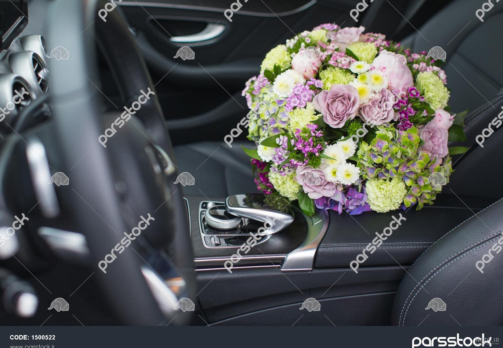 عکس گل رز برای پروفایل تلگرام و اینستاگرام • مجله تصویر زندگی