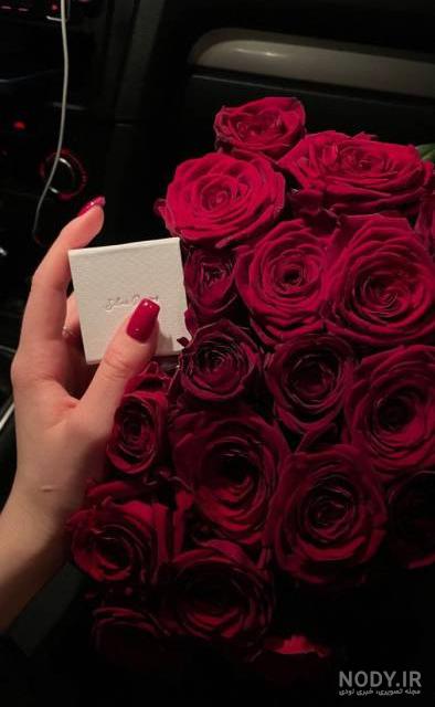 عکس گل رز برای پروفایل تلگرام و اینستاگرام • مجله تصویر زندگی