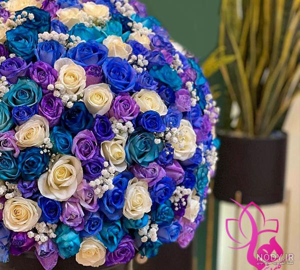 عکس گل رز های زیبا و جالب بنفش برای پروفایل با کیفیت بالا