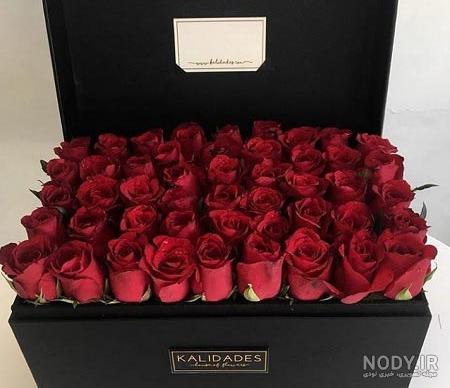 عکس گل رز زیبا و خاص برای پروفایل جدید