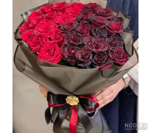 عکس گل رز مشکی زیبا برای پروفایل + تصاویر 30 گل زیبای رز عاشقانه سیاه عکس گل رز مشکی زیبا برای پروفایل + تصاویر 30 گل زیبای رز عاشقانه سیاه