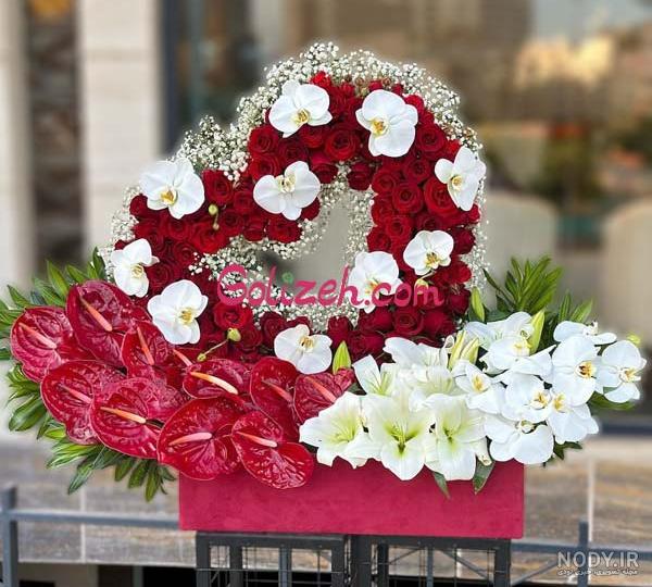عکس گل طبیعی خواستگاری - عکس نودی