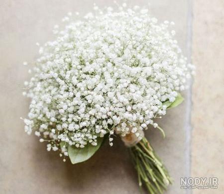عکس گل عروس ریز