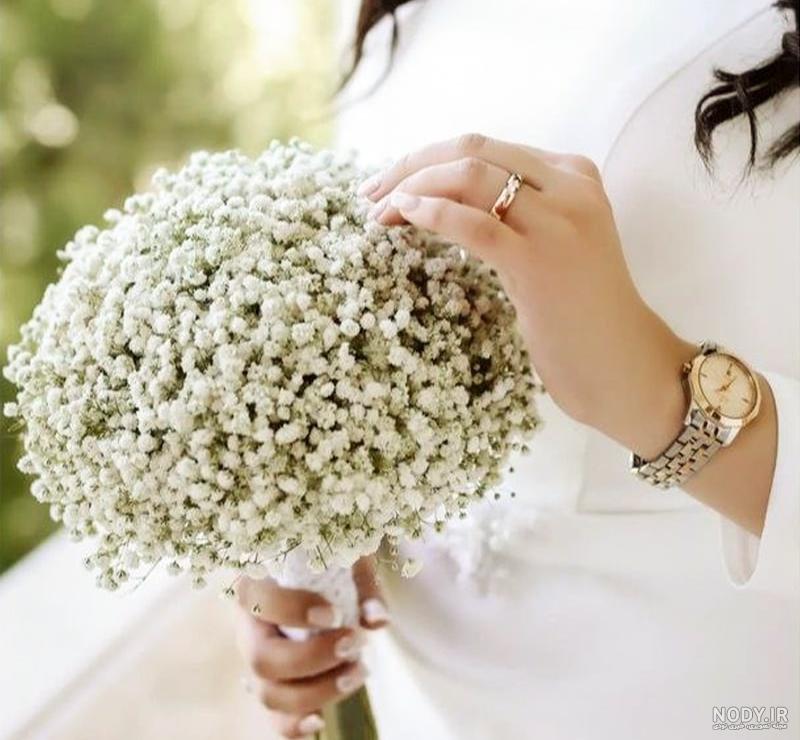 عکس گل ژیپسوفیلا و رز - عکس نودی عکس گل ژیپسوفیلا و رز - عکس نودی