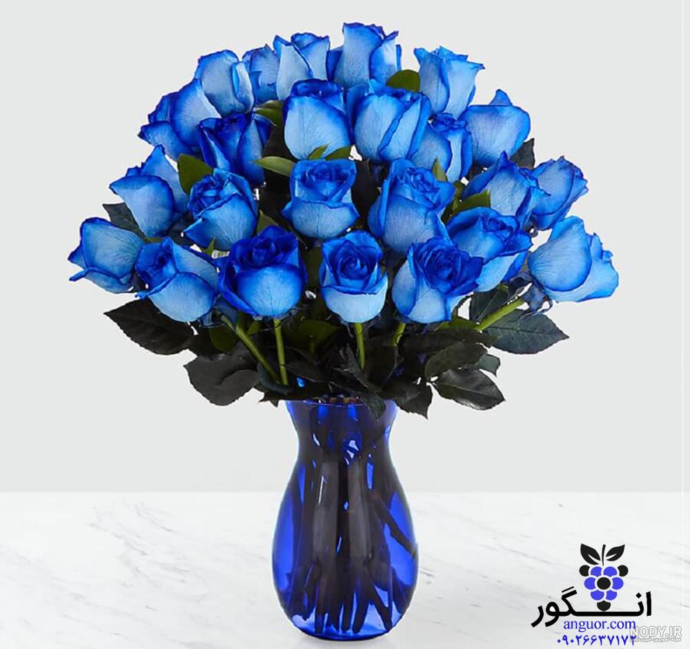 عکس گل ژیپسوفیلا رنگی - عکس نودی عکس گل ژیپسوفیلا رنگی - عکس نودی
