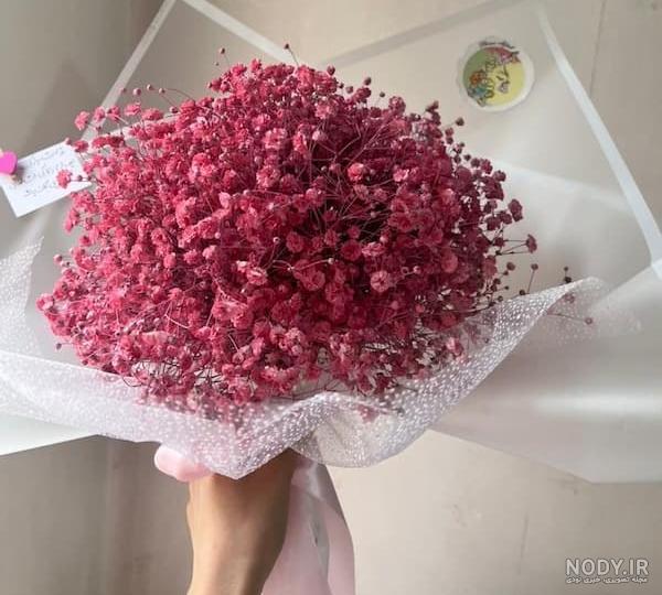 عکس گل ژیپسوفیلا ️ [ بهترین تصاویر ]