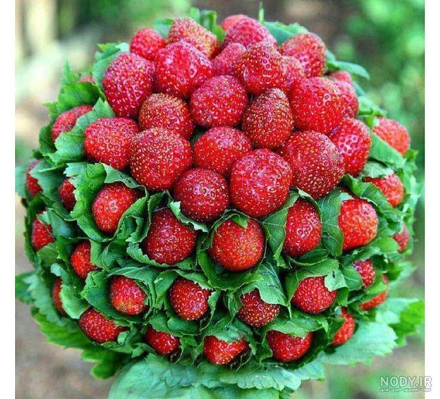 عکس گوجه سبز های خوشمزه و ترش عکس گوجه سبز های خوشمزه و ترش