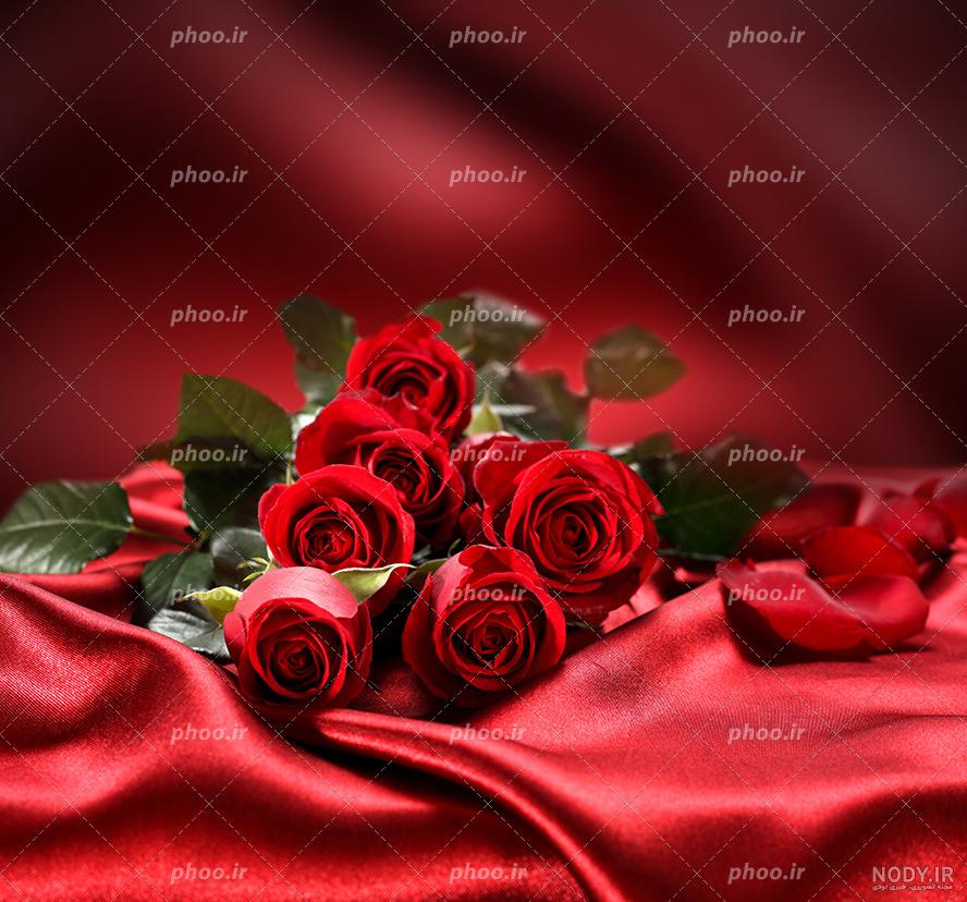 عکس یه دسته گل خوشگل عکس یه دسته گل خوشگل