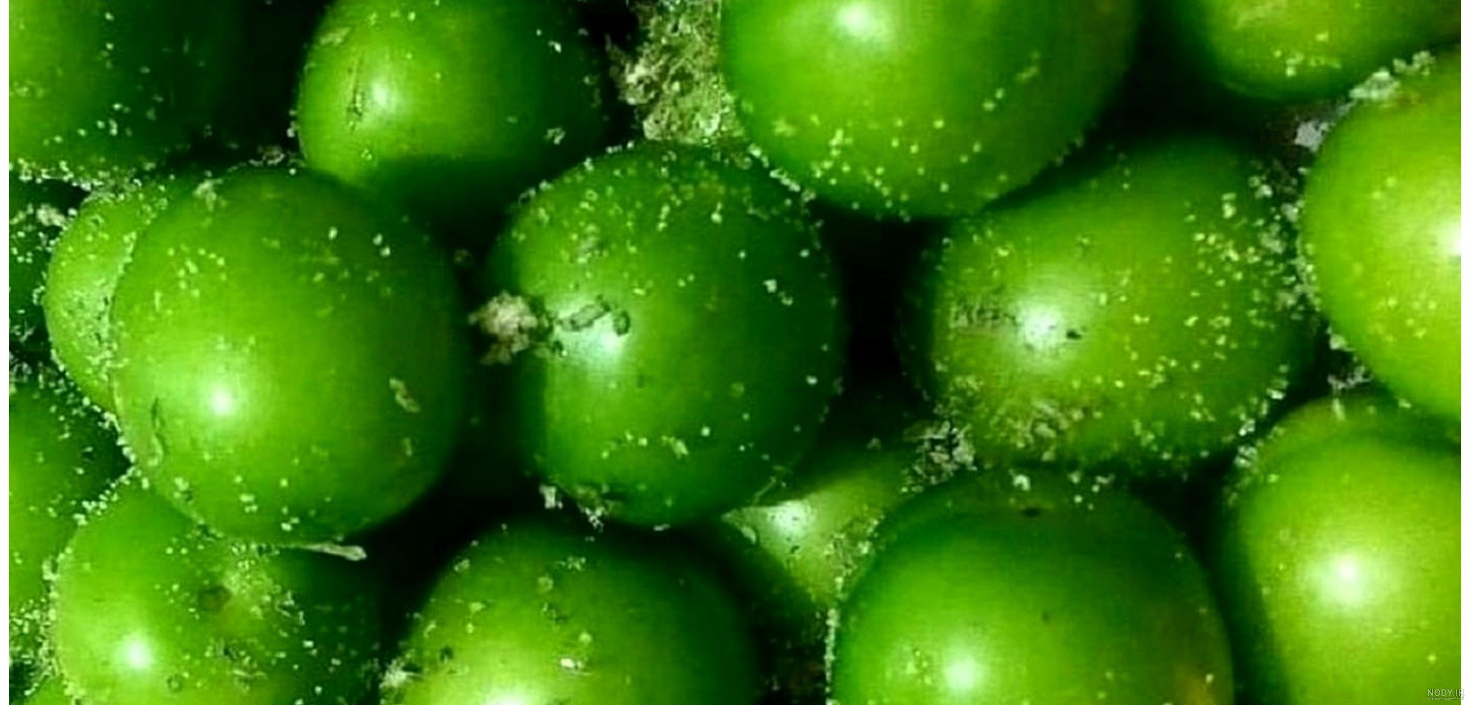 فرق گوجه سبز و آلوچه و نحوه تشخیص آنها! - مجله اکالا فرق گوجه سبز و آلوچه و نحوه تشخیص آنها! - مجله اکالا