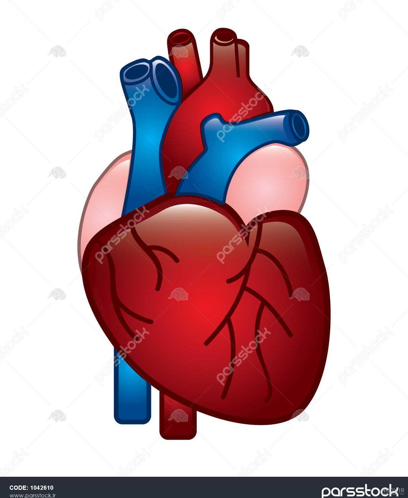 نقاشی قلب بالدار