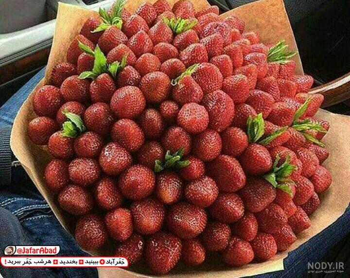 نهال گوجه سبز سردرود بادامی زودرس 09143121107 – خرید نهال || بهترین نهالستان ایران نهال گوجه سبز سردرود بادامی زودرس 09143121107 – خرید نهال || بهترین نهالستان ایران