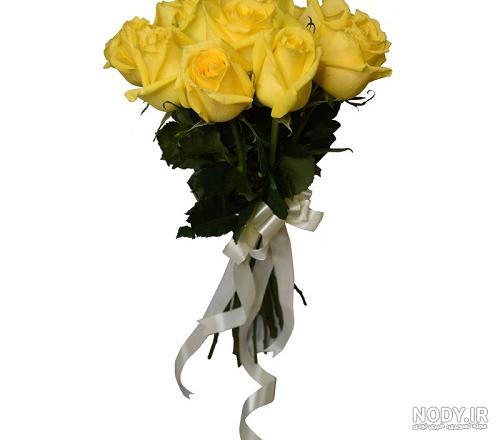 گالری عکس گل رز زرد برای خاص پسندان - ستاره گالری عکس گل رز زرد برای خاص پسندان - ستاره