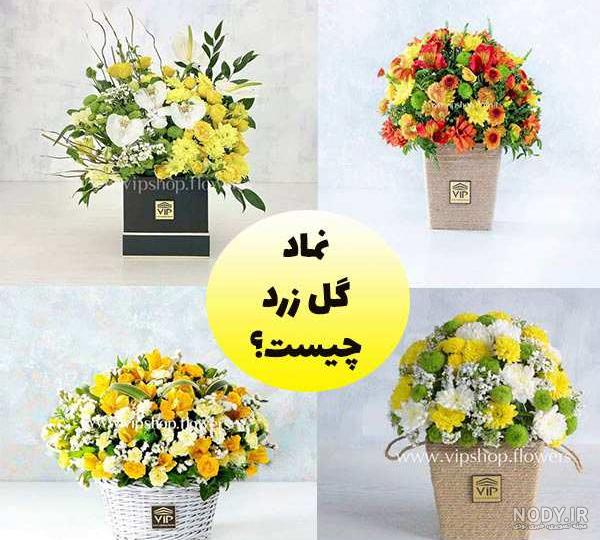 گالری عکس گل رز زرد برای خاص پسندان - ستاره گالری عکس گل رز زرد برای خاص پسندان - ستاره