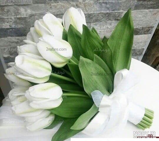 یک دسته گل لاله یک دسته گل لاله