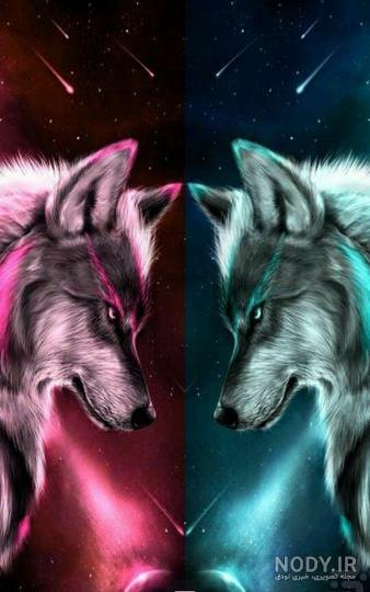 عکس رونالدو با ببر